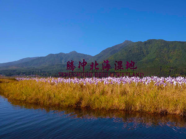 北海湿地公园