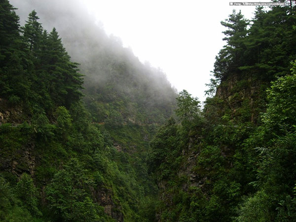 苍山