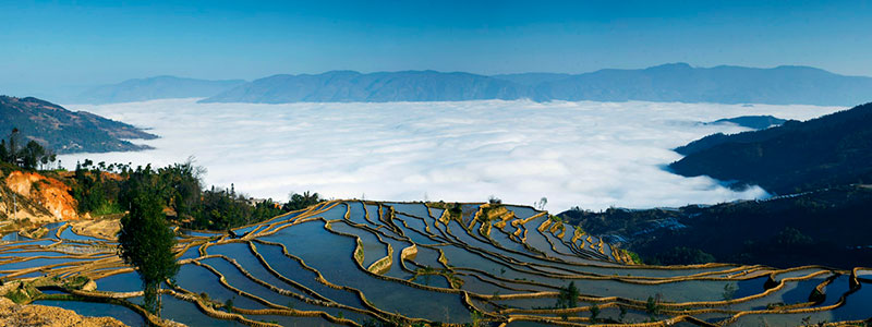 红河县梯田