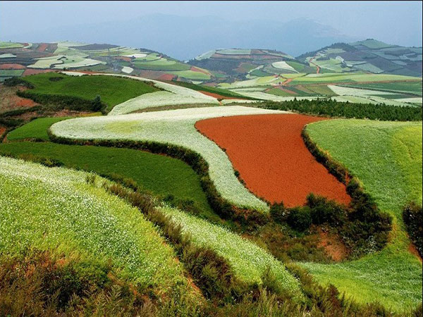 东川红土地