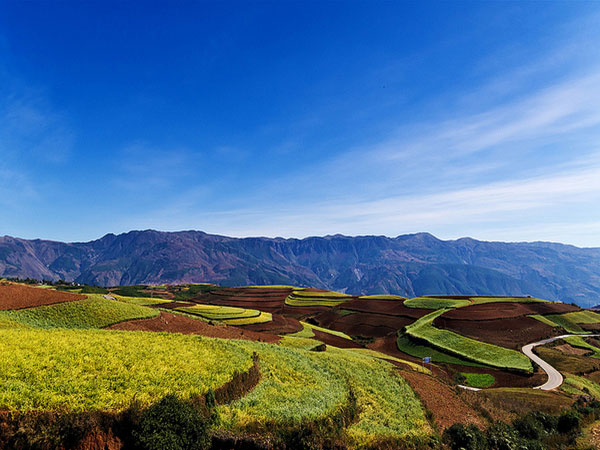 东川红土地