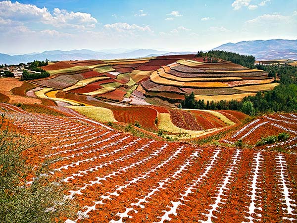 东川红土地