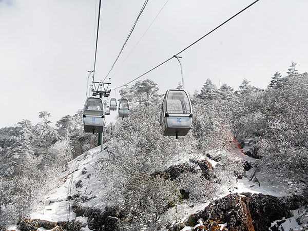 轿子雪山