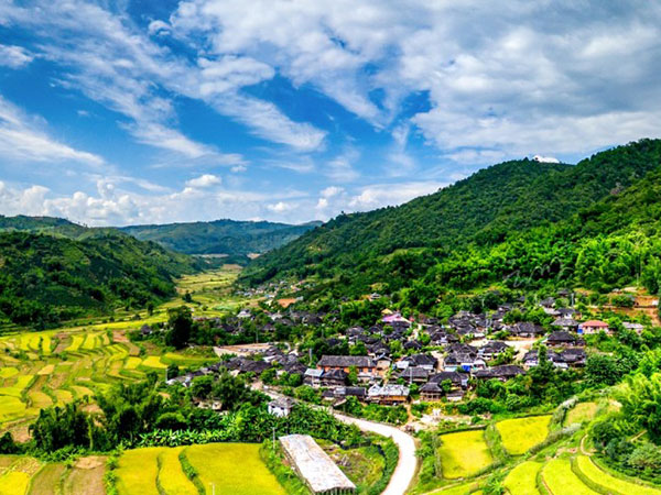 景迈山