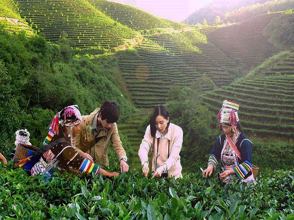 景迈山