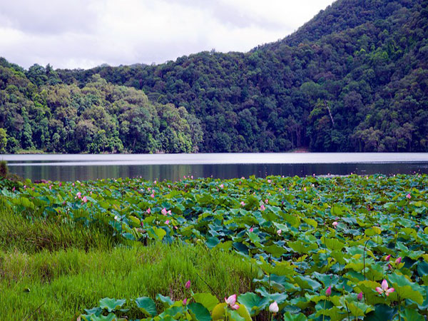 西盟县城