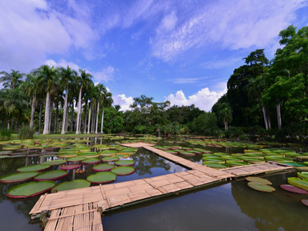 勐仑植物园